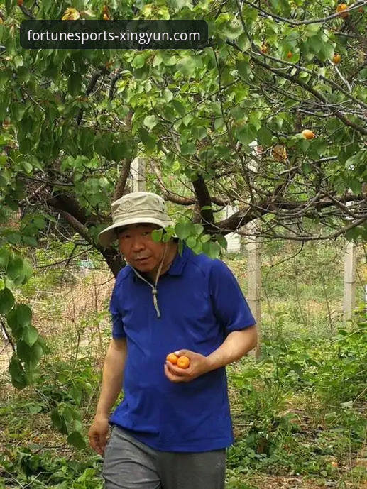 杏运体育注册地址详解：新手入门一站式操作指南